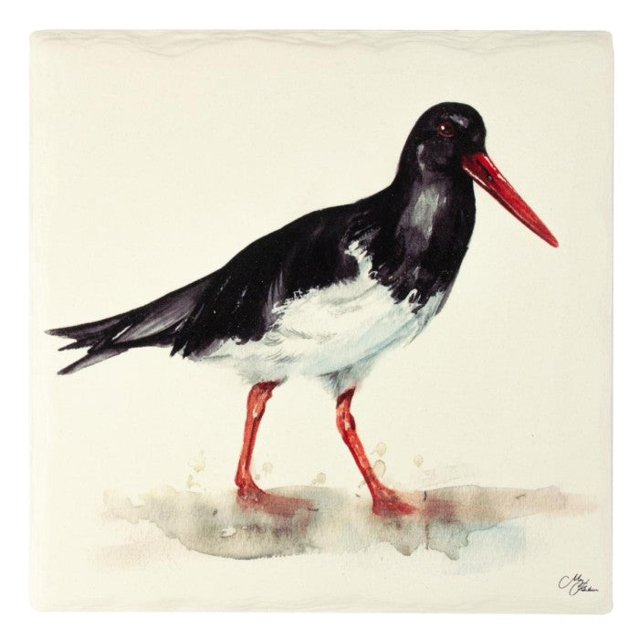 MEG HAWKINS borðverja, tjaldur - 16x16 cm (3)