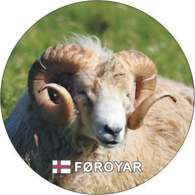 SOLBERG Fotomagnet veðrur - Ø 65 mm (12)