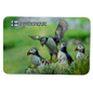 SOLBERG Skyggjandi fotomagnet lundi flagsandi - 50 x 75 mm (12)