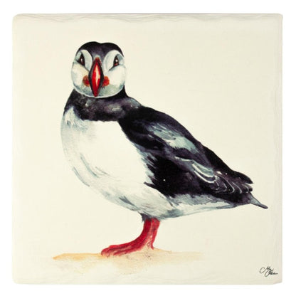 MEG HAWKINS borðverja, lundi - 16x16 cm (18)