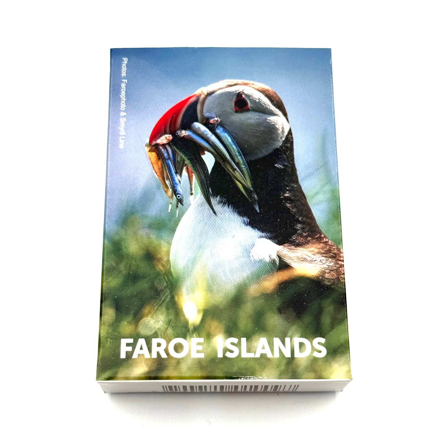 SOLBERG Spælikort, lundi - 56x86 mm (10)