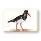 MEG HAWKINS magnet, tjaldur - 9x6 cm (12)